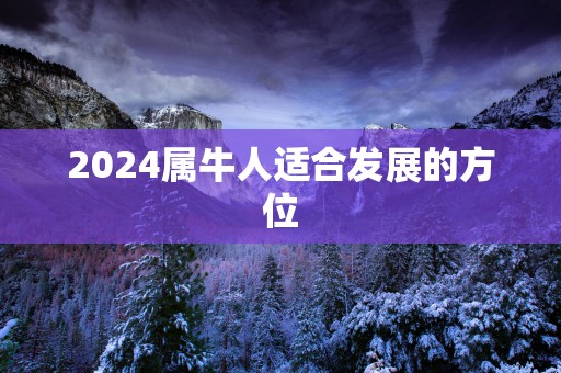 2025属牛人适合发展的方位