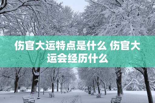 伤官大运特点是什么 伤官大运会经历什么