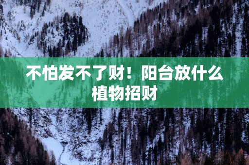 不怕发不了财！阳台放什么植物招财