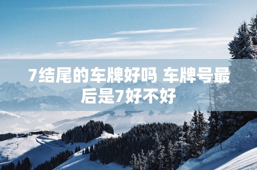 7结尾的车牌好吗 车牌号最后是7好不好