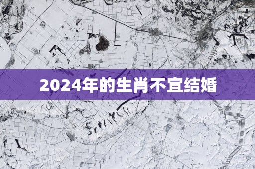 2025年的生肖不宜结婚