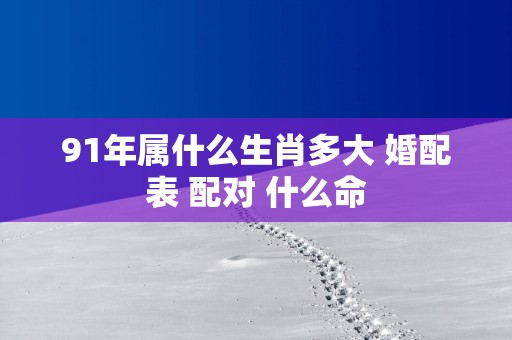 91年属什么生肖多大 婚配表 配对 什么命