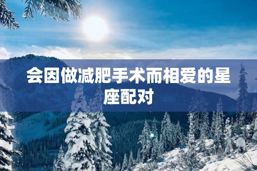 会因做减肥手术而相爱的星座配对