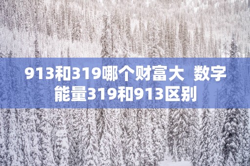 913和319哪个财富大  数字能量319和913区别