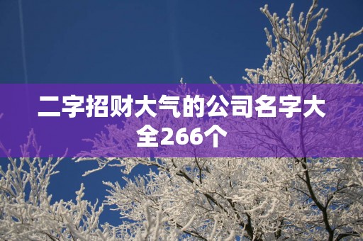 二字招财大气的公司名字大全266个