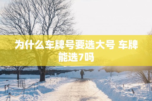 为什么车牌号要选大号 车牌能选7吗