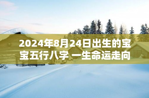 2025年8月24日出生的宝宝五行八字 一生命运走向