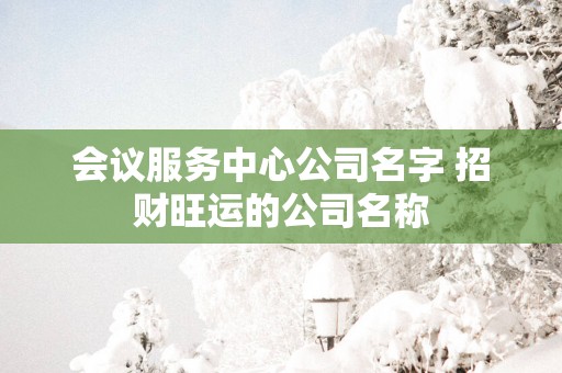 会议服务中心公司名字 招财旺运的公司名称
