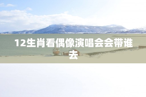 12生肖看偶像演唱会会带谁去