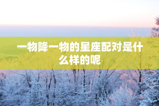 一物降一物的星座配对是什么样的呢 一物降一物的星座配对是什么样的呢