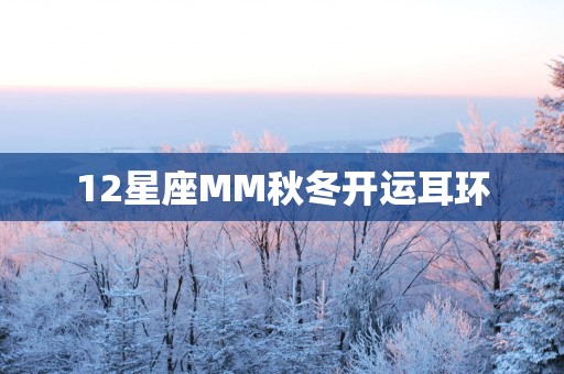 12星座MM秋冬开运耳环