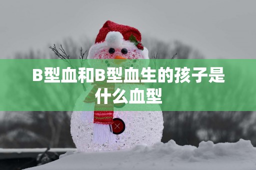 B型血和B型血生的孩子是什么血型
