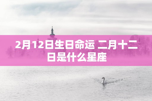 2月12日生日命运 二月十二日是什么星座