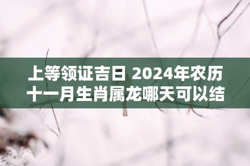 上等领证吉日 2025年农历十一月生肖属龙哪天可以结亲家