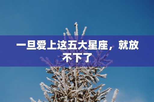 一旦爱上这五大星座，就放不下了