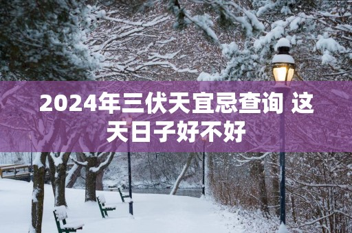 2025年三伏天宜忌查询 这天日子好不好