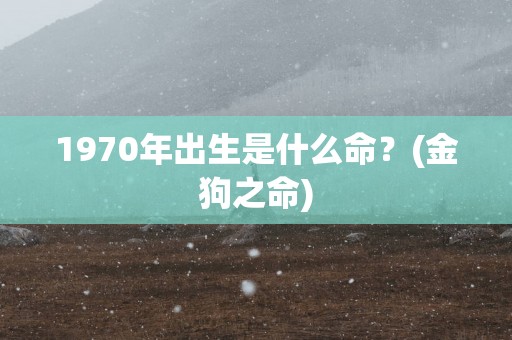 1970年出生是什么命？(金狗之命)