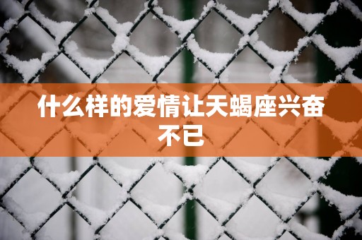 什么样的爱情让天蝎座兴奋不已