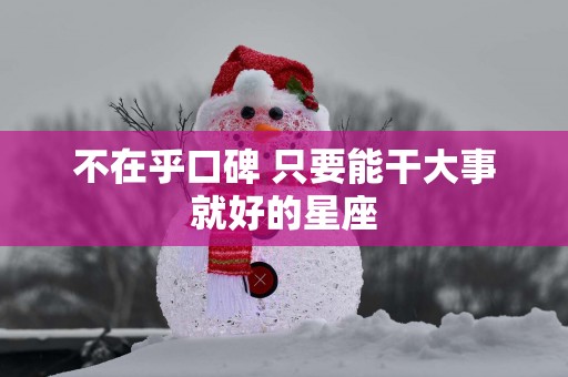 不在乎口碑 只要能干大事就好的星座