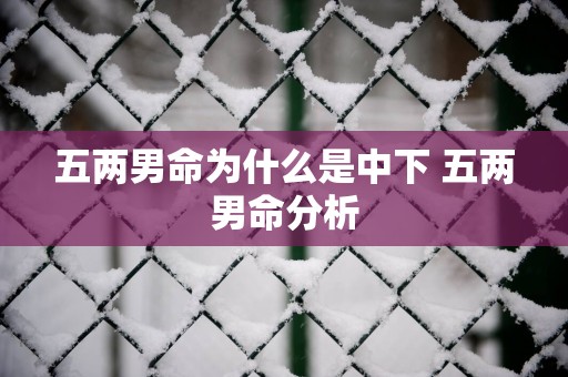 五两男命为什么是中下 五两男命分析