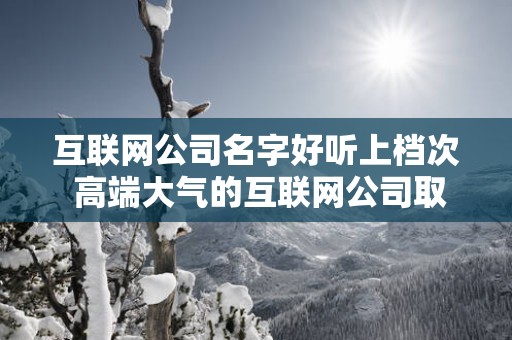 互联网公司名字好听上档次 高端大气的互联网公司取名