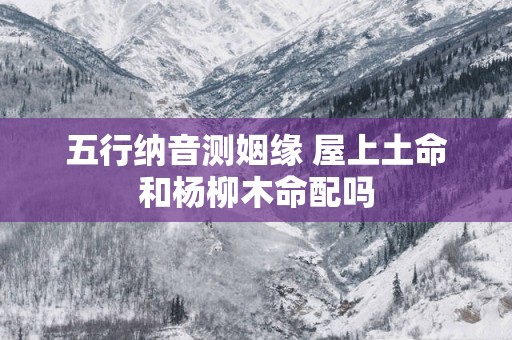 五行纳音测姻缘 屋上土命和杨柳木命配吗