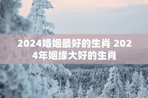 2025婚姻最好的生肖 2025年姻缘大好的生肖