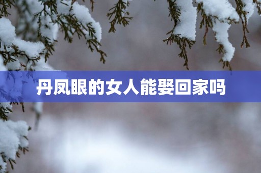 丹凤眼的女人能娶回家吗