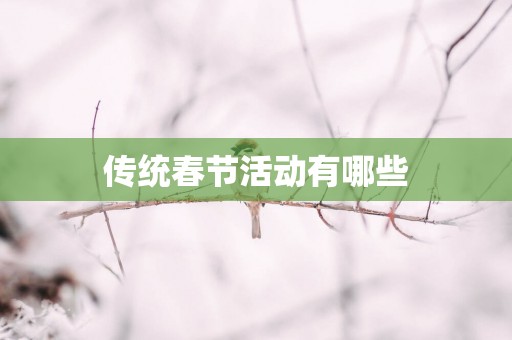 传统春节活动有哪些