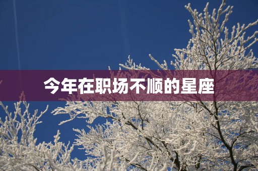 今年在职场不顺的星座