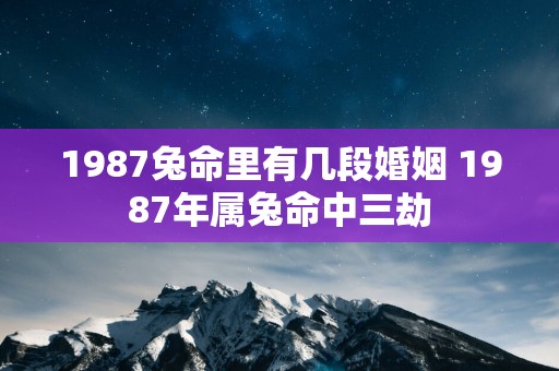 1987兔命里有几段婚姻 1987年属兔命中三劫