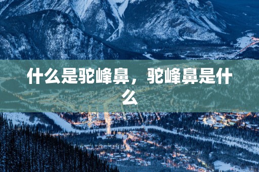 什么是驼峰鼻，驼峰鼻是什么
