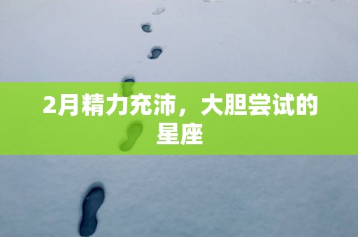 2月精力充沛，大胆尝试的星座