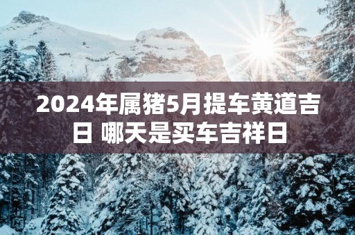 2025年属猪5月提车黄道吉日 哪天是买车吉祥日