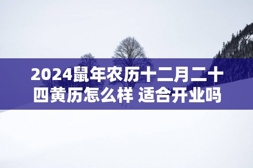 2025蛇年农历十二月二十四黄历怎么样 适合开业吗