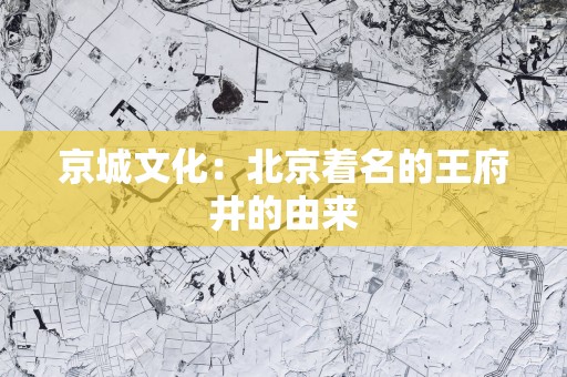 京城文化：北京着名的王府井的由来