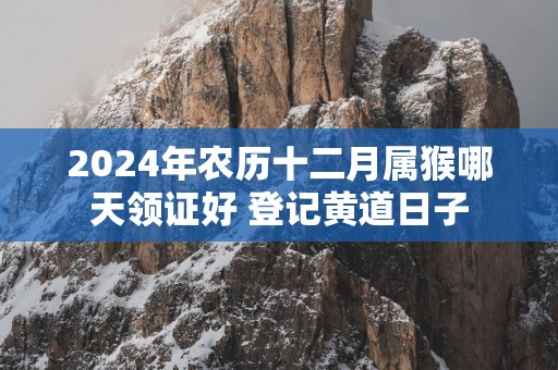 2025年农历十二月属猴哪天领证好 登记黄道日子