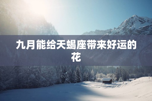 九月能给天蝎座带来好运的花