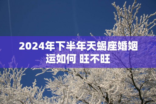2025年下半年天蝎座婚姻运如何 旺不旺