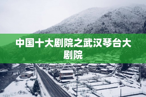 中国十大剧院之武汉琴台大剧院