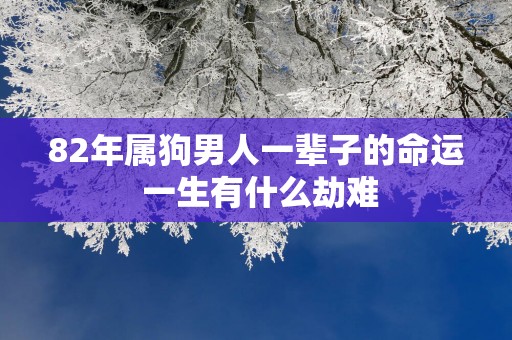 82年属狗男人一辈子的命运 一生有什么劫难
