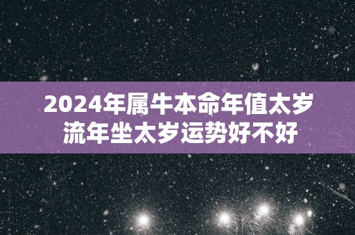 2025年属牛本命年值太岁 流年坐太岁运势好不好