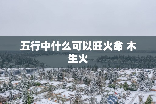 五行中什么可以旺火命 木生火