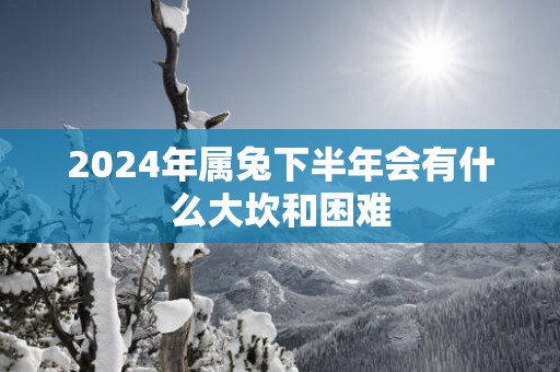 2025年属兔下半年会有什么大坎和困难