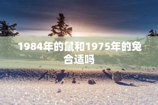 1984年的鼠和1975年的兔合适吗