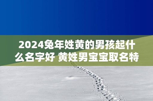 2024兔年姓黄的男孩起什么名字好 黄姓男宝宝取名特别的