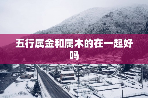五行属金和属木的在一起好吗