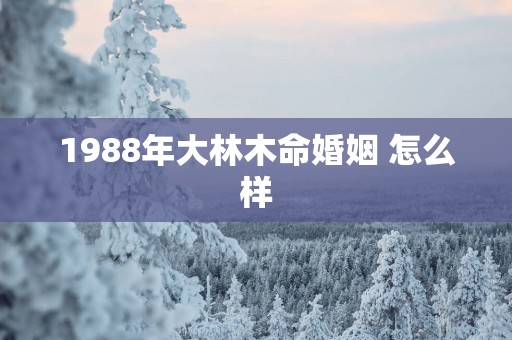 1988年大林木命婚姻 怎么样