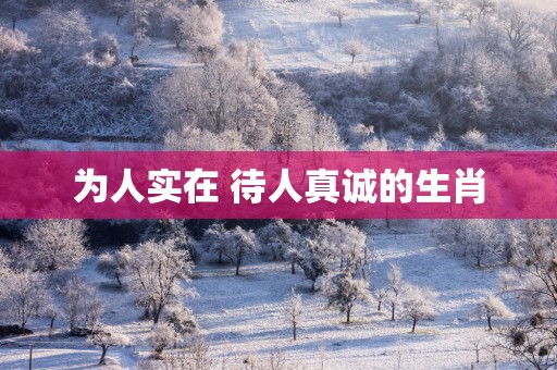 为人实在 待人真诚的生肖