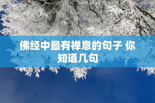 佛经中最有禅意的句子 你知道几句